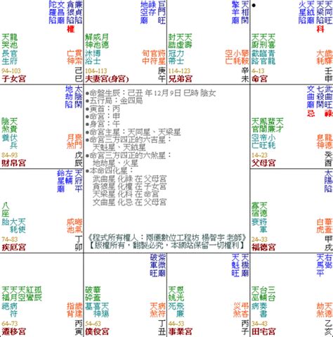 楊智宇免費命盤